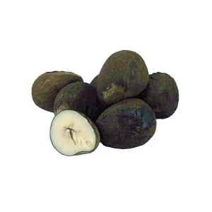 Elfenbensnøtter -Tagua Nuts -Dragon Egs