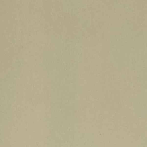 Dekkfarge 150ml Beige 10 for skinn og møbler