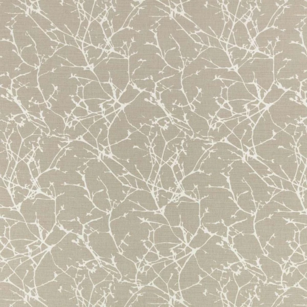 Acacia String