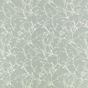 Acacia Celadon