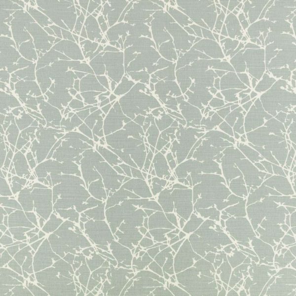 Acacia Celadon