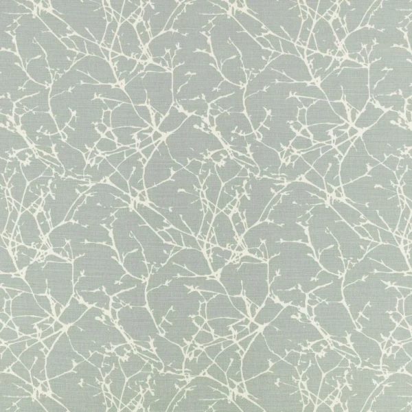 Acacia Celadon