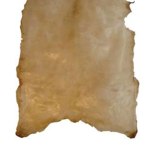 Trommeskinn av kalv 0,8mm