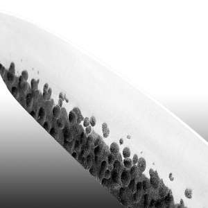 Knivblad Japansk Santoku Knife 7" 178mm hamret stål