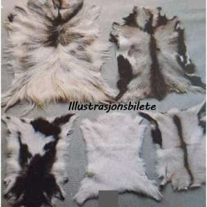 Kiddskinn 1. sort Pels Geit