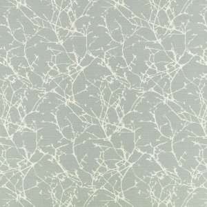 Acacia Celadon
