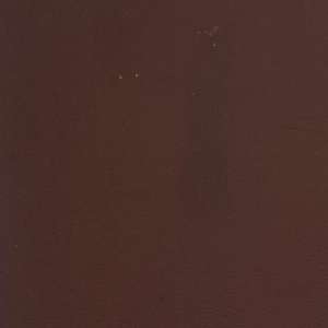 Dekkfarge 150ml Cappuccucino 22 - Skinn Møbel & Bil