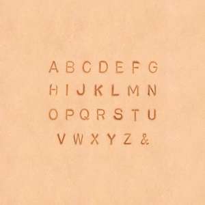 Bokstaver til skinn 3mm Alfabet & 3023