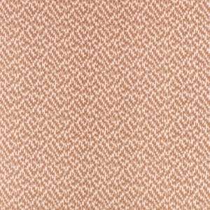 Isala Cinnamon
