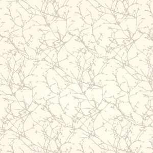 Acacia Oyster