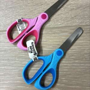 Barnesaks 5"
